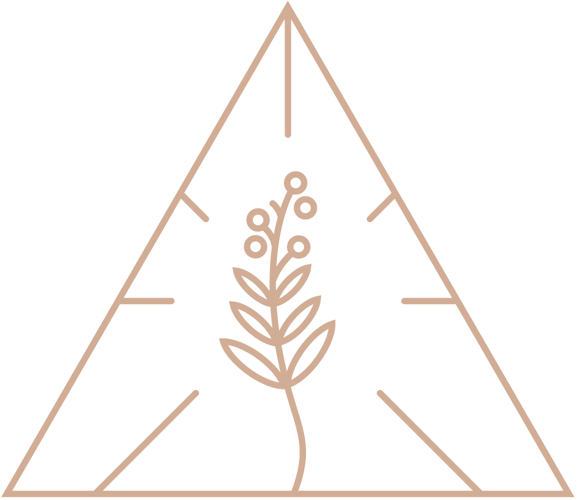 Electroculture & Wellness Icon Logo
